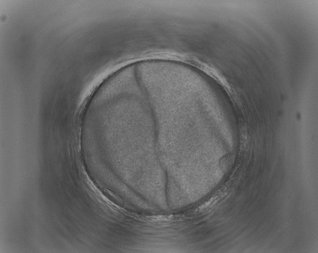 X0000062141504200601060910