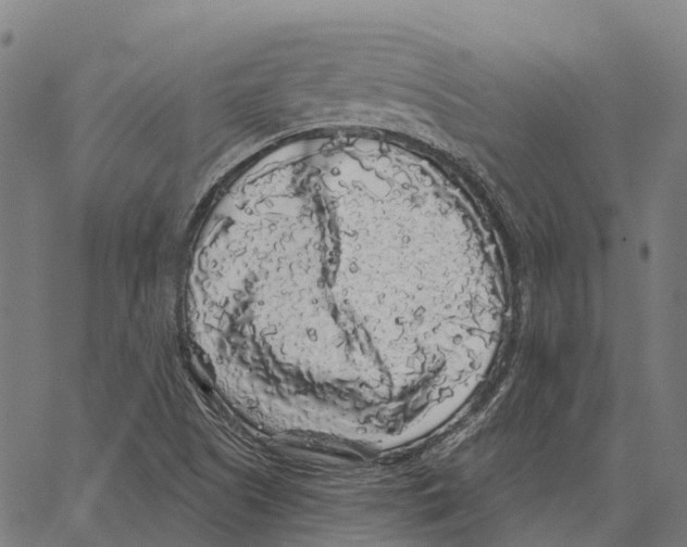 X0000062141505200601060910