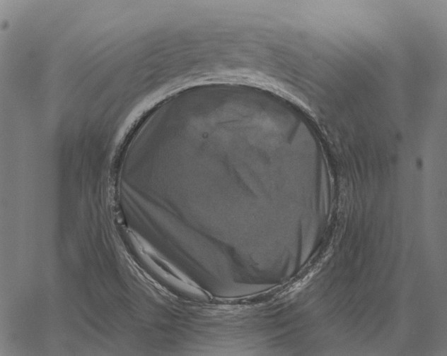 X0000062141506200601060910