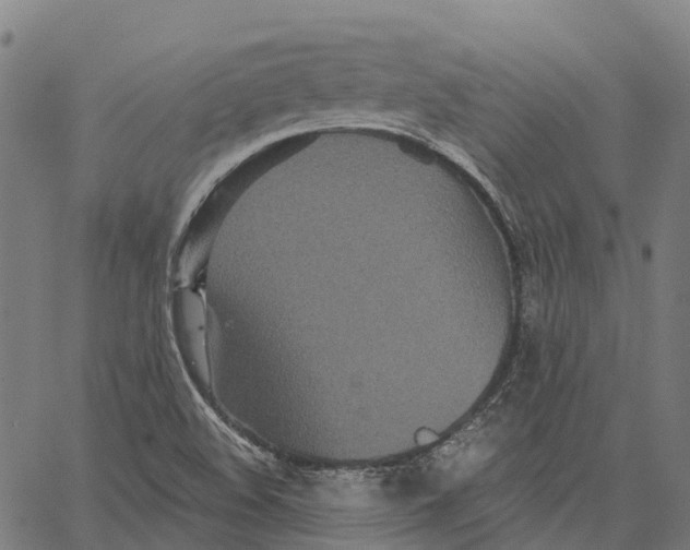 X0000062141508200601060910