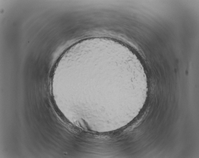 X0000062141509200601060910