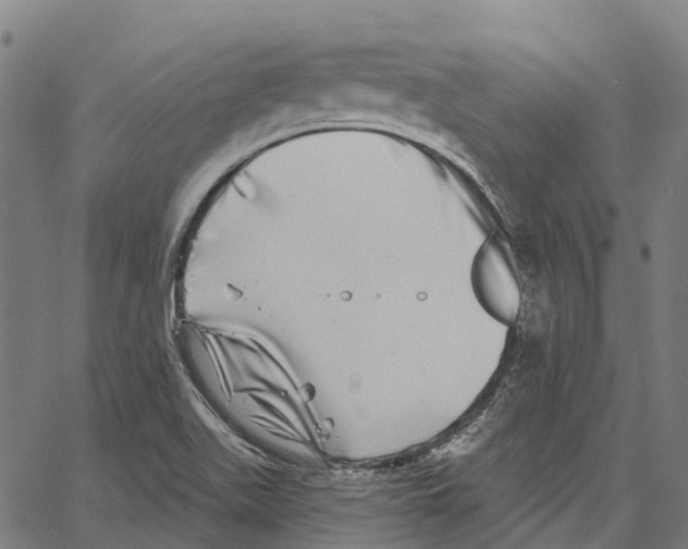 X0000062141511200601060910