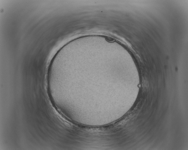 X0000062141512200601060910