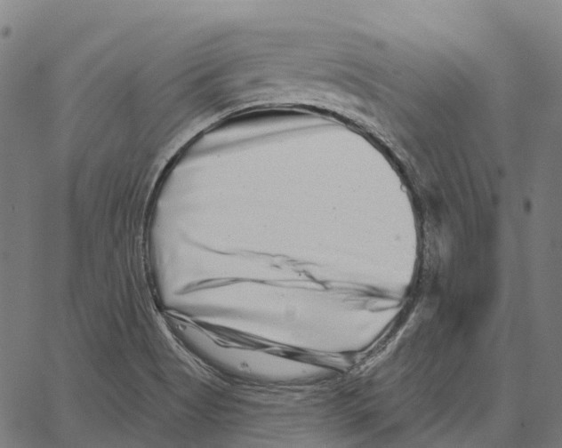 X0000062141513200601060910