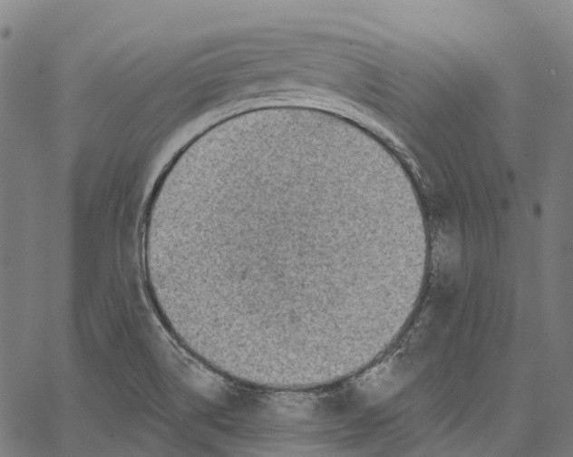 X0000062141514200601060910