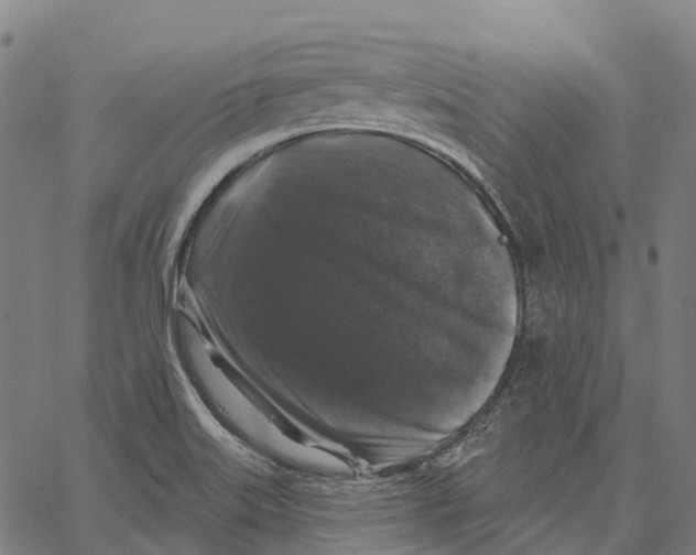 X0000062141515200601060910