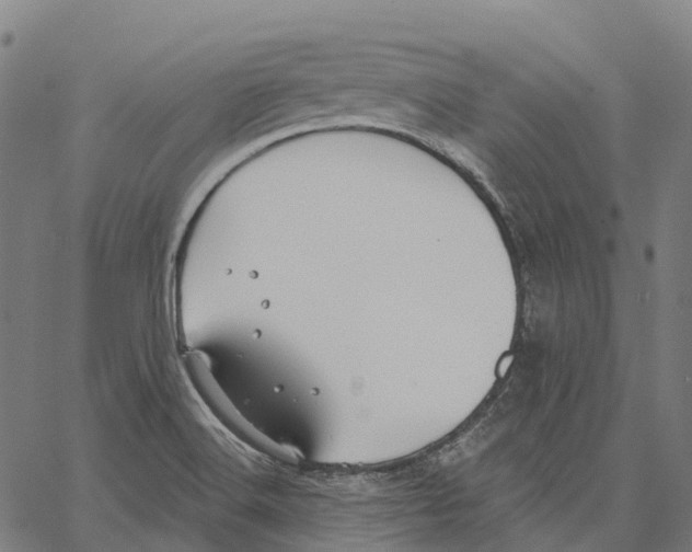 X0000062141516200601060910