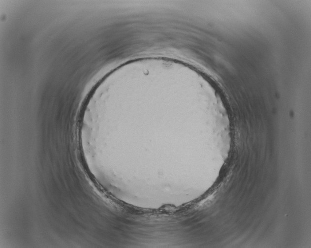 X0000062141517200601060910