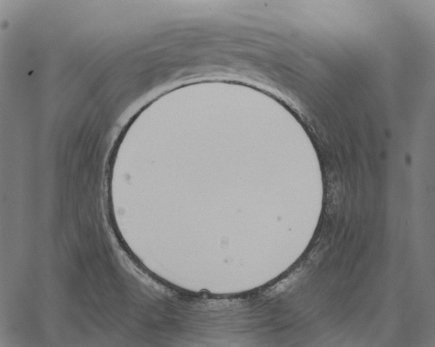 X0000062141518200601060910