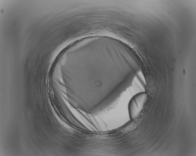 X0000062141519200601060910