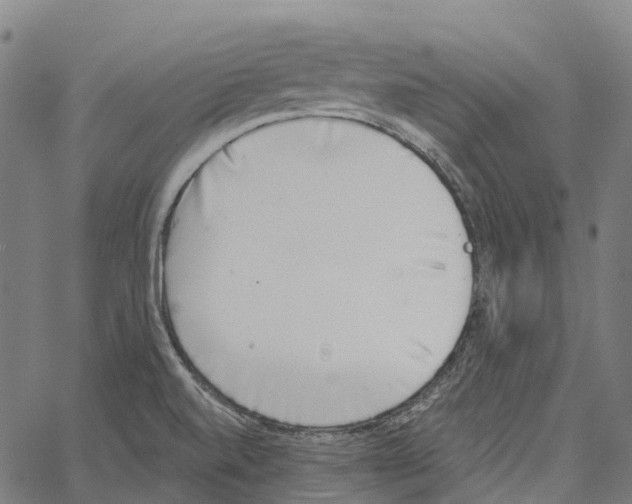 X0000062141520200601060910