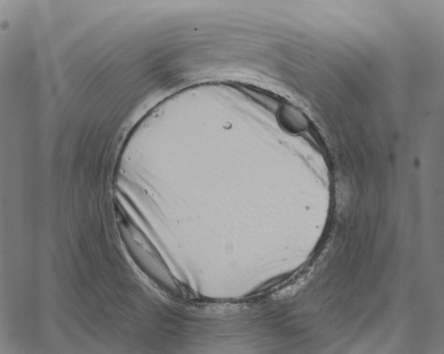 X0000062141521200601060910