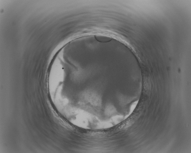 X0000062141522200601060910