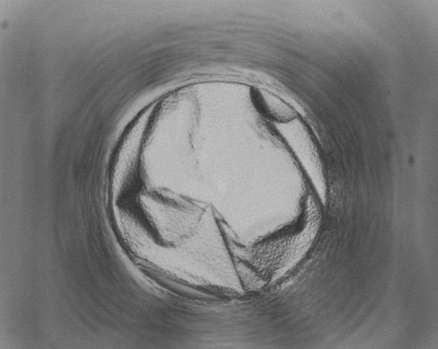 X0000062141523200601060910