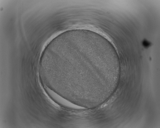 X0000062141525200601060910