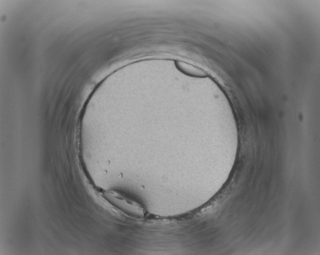 X0000062141526200601060910