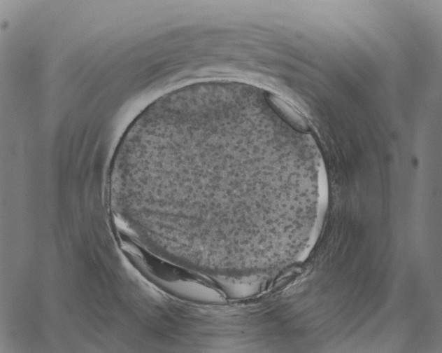 X0000062141527200601060910