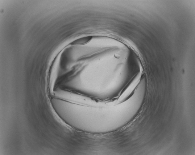 X0000062141528200601060910