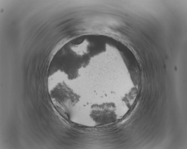 X0000062141529200601060910