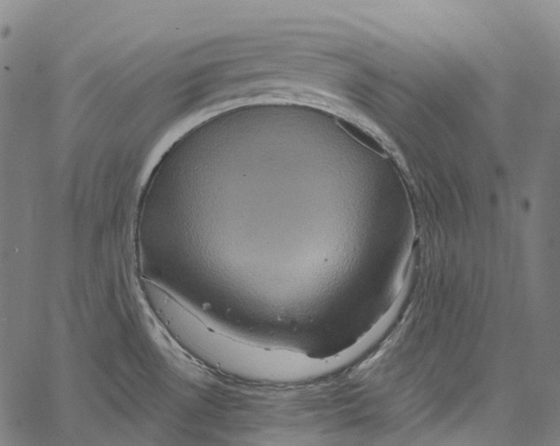 X0000062141530200601060910