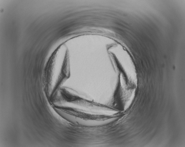 X0000062141531200601060910