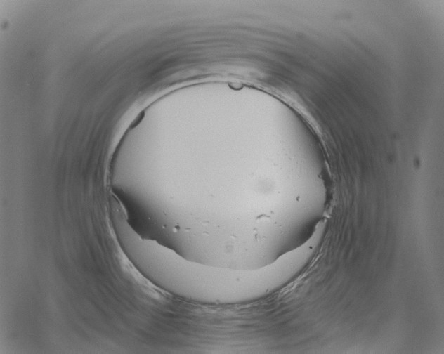 X0000062141532200601060910