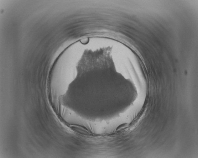 X0000062141533200601060910