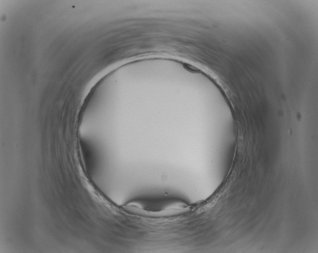 X0000062141534200601060910