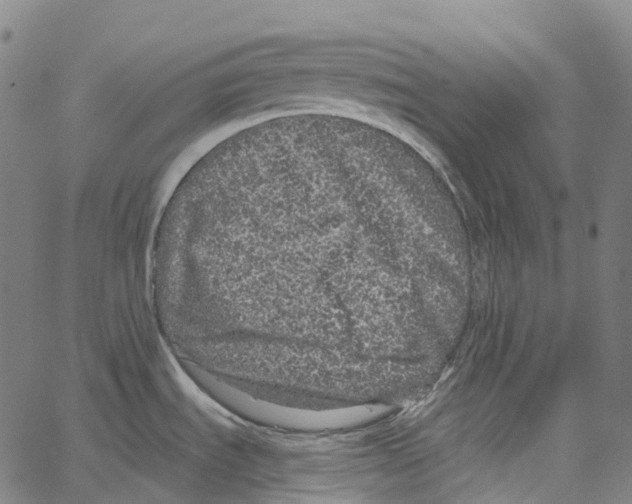 X0000062141535200601060910