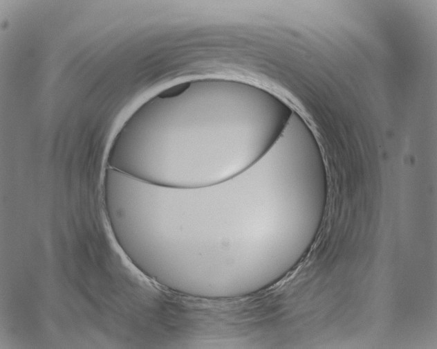 X0000062141536200601060910