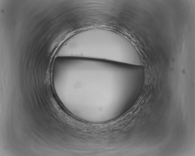 X0000062150002200512091002