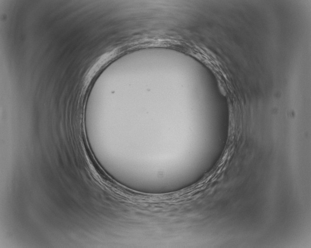 X0000062150003200512091002