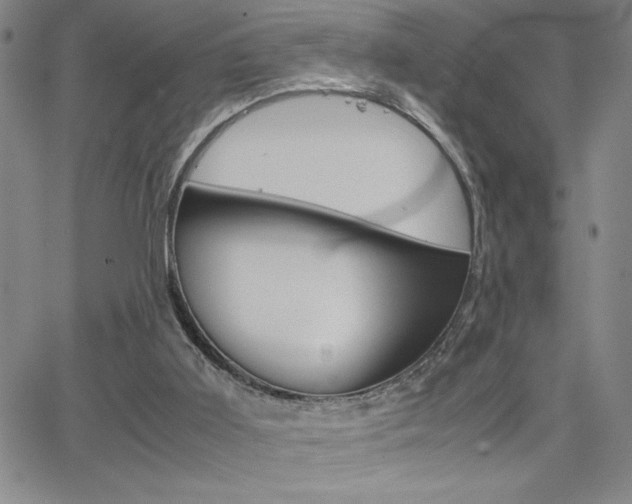X0000062150011200512091002