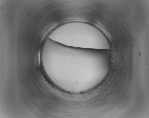 X0000062150014200512091002