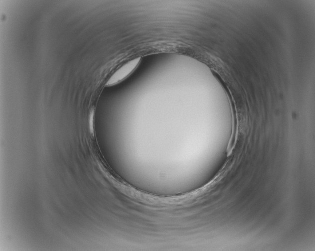 X0000062150047200512091001