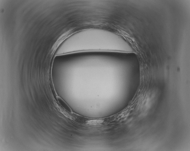 X0000062150051200512091001