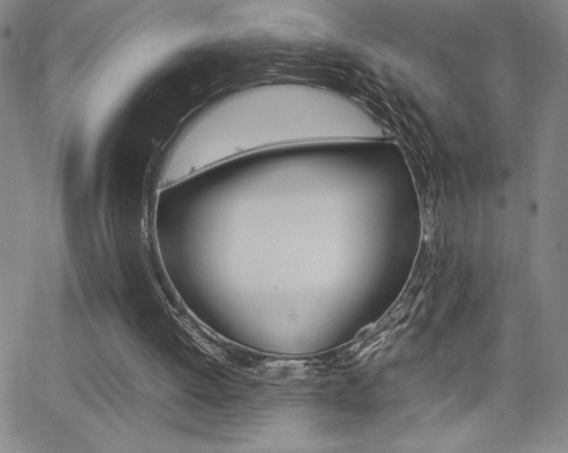 X0000062150052200512091001