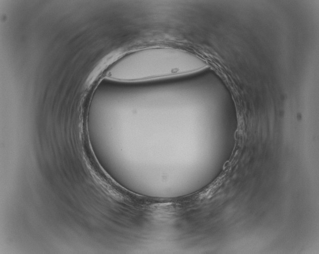 X0000062150054200512091001