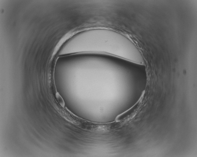 X0000062150056200512091001