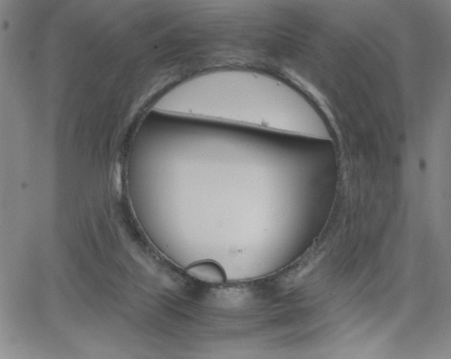 X0000062150067200512091001