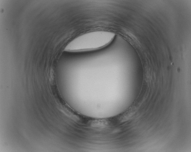 X0000062150077200512091001