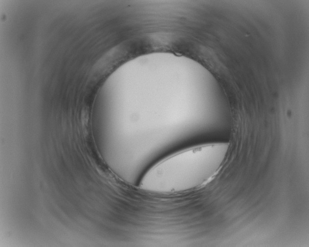 X0000062150082200512091001