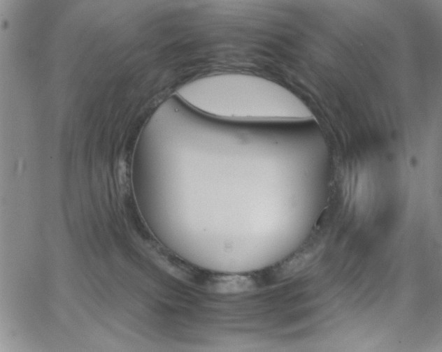 X0000062150087200512091001