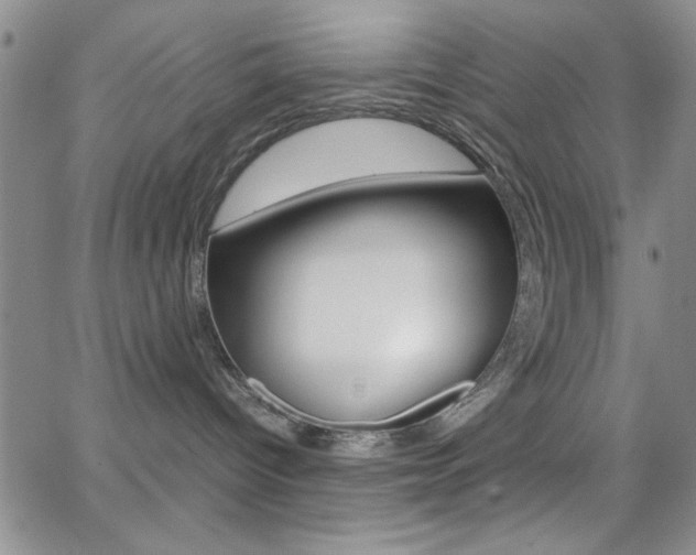 X0000062150096200512091001