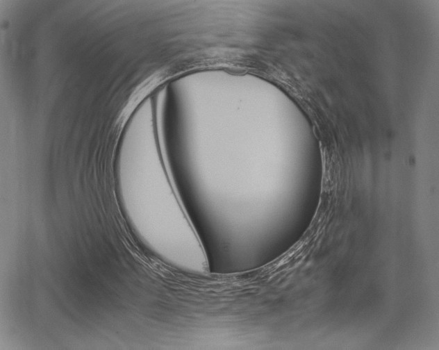 X0000062150099200512091001