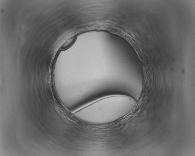 X0000062150100200512091001