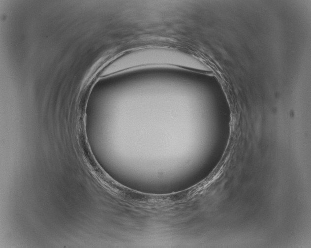 X0000062150101200512091001