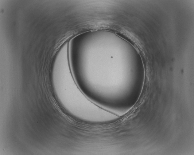 X0000062150105200512091001