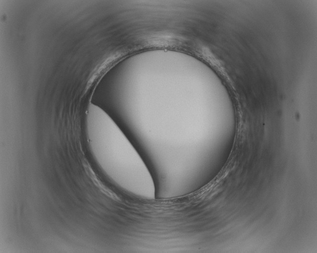 X0000062150106200512091001