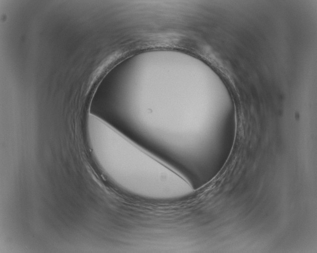 X0000062150107200512091001